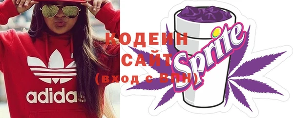 шишки Арсеньев