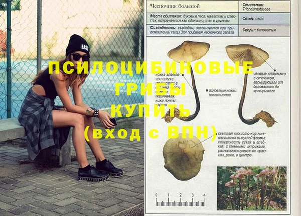 ECSTASY Богородск