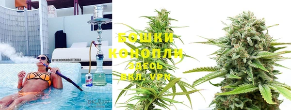 эйфоретик Белокуриха